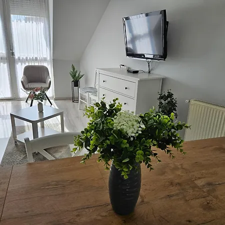 Zoli Apartmanok-adri Koelcsey 32 * Hajdúszoboszló